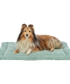 TRIXIE LIGMAT JONNA RIBFLUWEEL SALIEGROEN